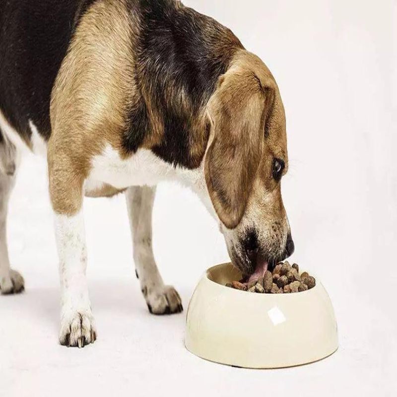狗粮宠物诱食剂